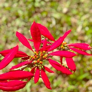 Meet your Posher, Yazmin